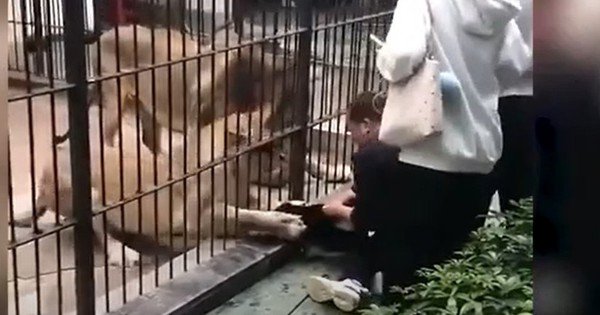 nh&acirc;n-vi&ecirc;n-so-th&uacute;-cuu-b&eacute;-g&aacute;i-10-tuoi-tu-m&oacute;ng-vuot-su-tu