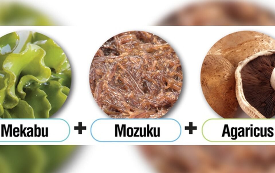 tieu-chi-lua-chon-hoat-chat-fucoidan-nhat-ban-chinh-hang