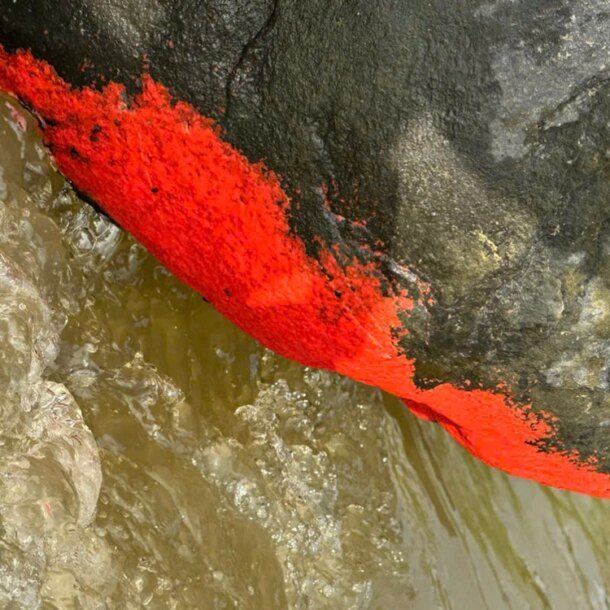 doc-la-tang-da-noi-mau-do-ruc-giong-‘no-hoa’-o-da-nang