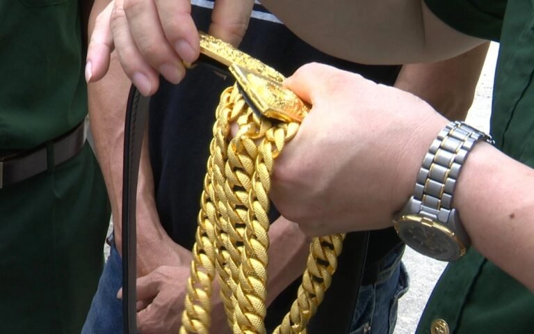 so-tai-chinh-ha-tinh-rao-ban-gan-30kg-vang-tinh-khiet