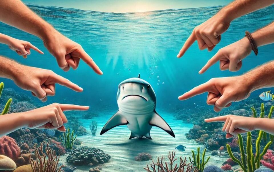 vi-sao-ca-map-thuong-bi-goi-ten-moi-khi-co-su-co-cap-quang-bien?