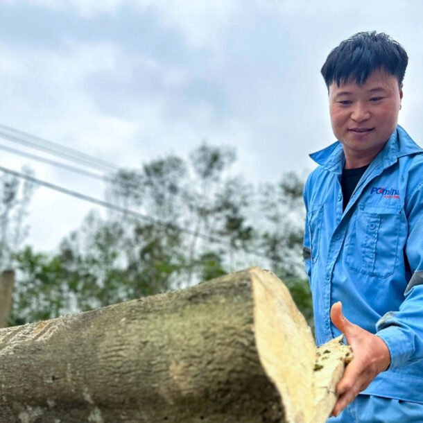 nong-dan-xa-mien-nui-ha-tinh-thu-tram-ty-nho-'tim-vang'-trong-than-cay