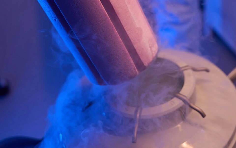 lan-dau-‘danh-thuc’-nao-chuot-dong-lanh,-mo-hy-vong-ngu-dong-cho-con-nguoi