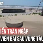 vi-sao-cat-bien-ngap-trang-cong-vien-bai-sau-cua-vung-tau?