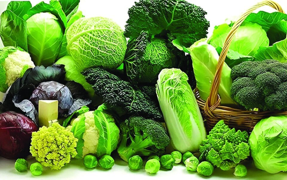 rau-ho-cai-giau-vitamin,-nen-dua-vao-che-do-an-lanh-manh