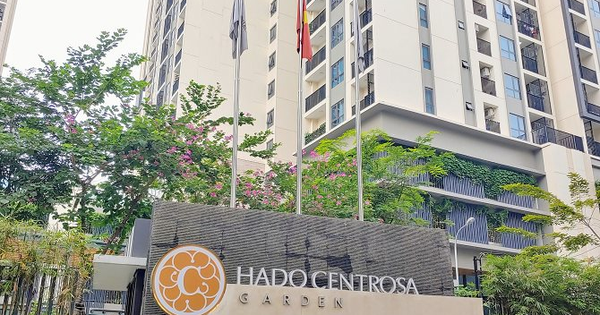 co-phieu-ha-do-(hdg)-o-dinh-gia-tu-dau-nam-van-duoc-khuyen-nghi-mua,-ky-vong-tang-hon-26%-nho-dau?