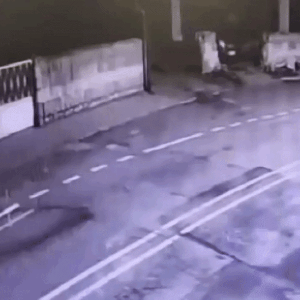 vu-trom-vang-kho-tin:-dot-nhap-bang-xe-nang,-tau-thoat-bang-‘co-xe-khong-the-tin-noi’