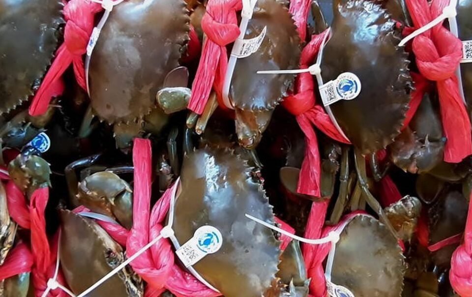 khi-cua-nam-can-co-‘ly-lich’:-gan-ma-qr-de-giu-lai-gia-tri-that