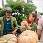 ‘giai-cuu’-hang-tram-tan-bi-do-ton-dong-o-ca-mau