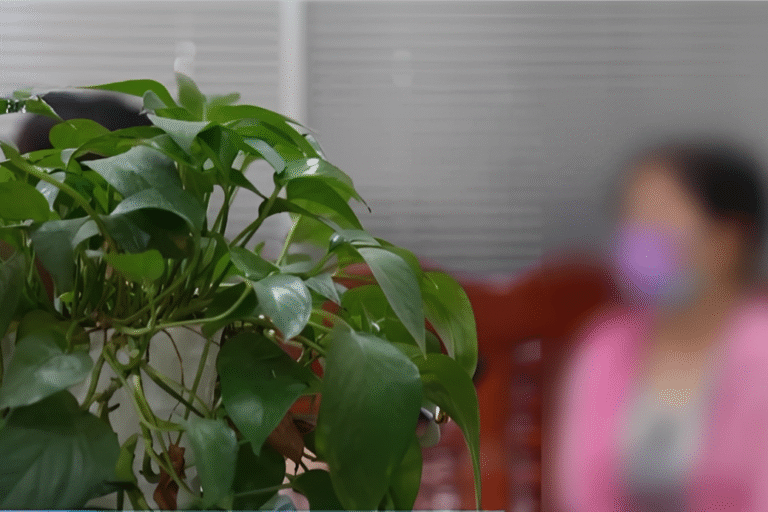 'nhin-tai-san-tang-vot-tren-app,-toi-lao-vao-vang-ma-quen-mat-rui-ro'