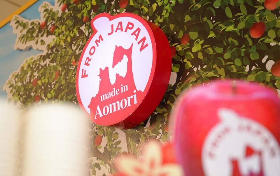 tao-aomori-va-chien-luoc-ben-vung-hon-mot-thap-ky-tai-viet-nam