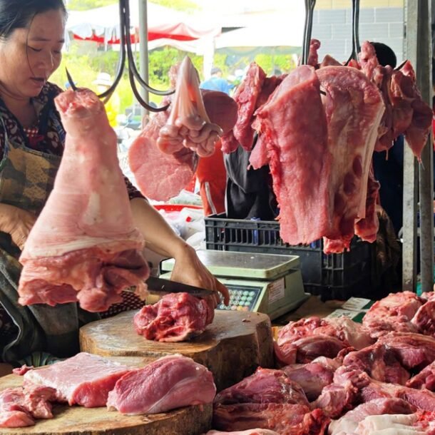 gia-heo-hoi-hom-nay-273.2026:-giam-tro-lai