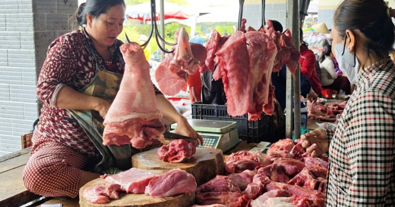 gia-heo-hoi-hom-nay-273.2026:-giam-tro-lai