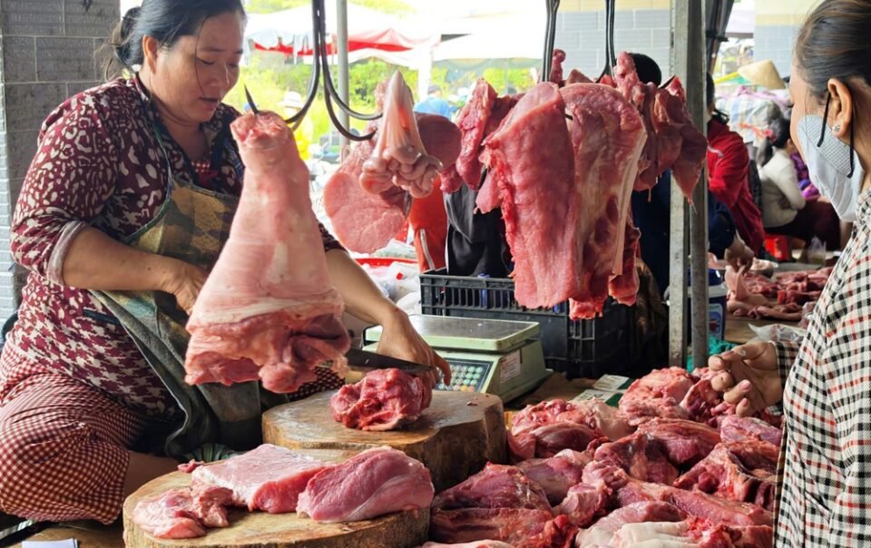 gia-heo-hoi-hom-nay-273.2026:-giam-tro-lai