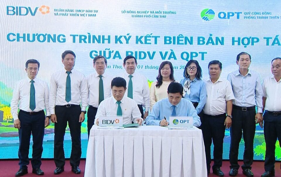 bidv-va-qpt-hop-tac-trong-240.000-cay-xanh-tai-dong-bang-song-cuu-long