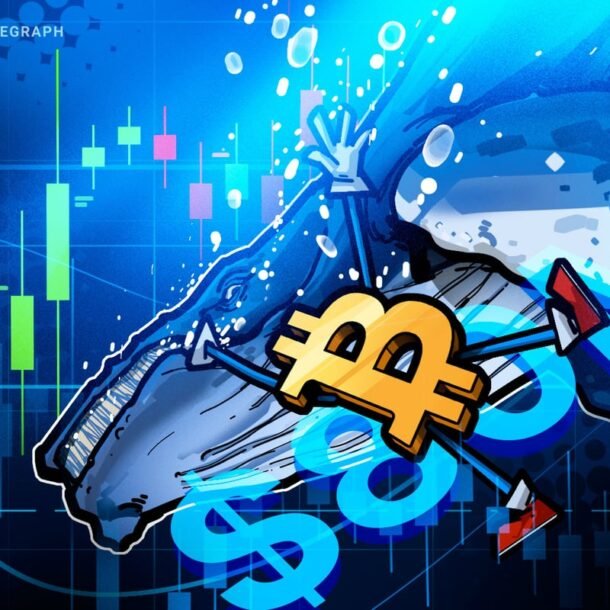 hyperliquid-whale-makes-$80m-bet-on-market-crash:-is-bitcoin-in-trouble?