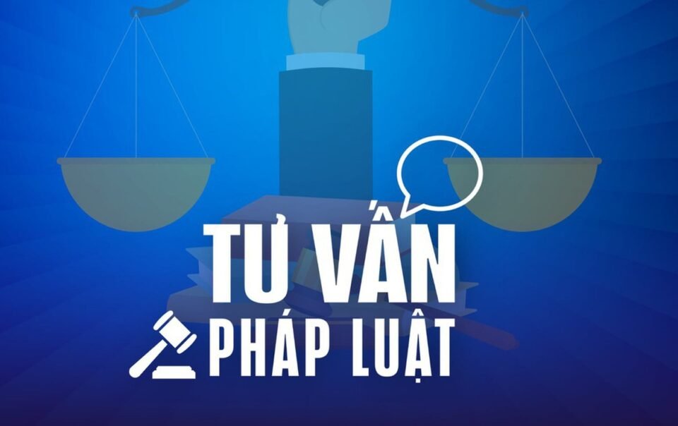 chua-tot-nghiep-thpt-co-duoc-hanh-nghe-moi-gioi-bat-dong-san?