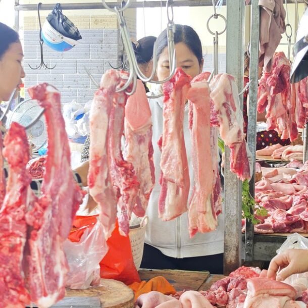 gia-heo-hoi-hom-nay-34.2026:-phuc-hoi-o-mien-bac