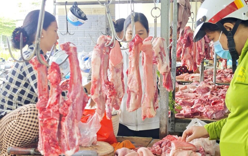 gia-heo-hoi-hom-nay-34.2026:-phuc-hoi-o-mien-bac