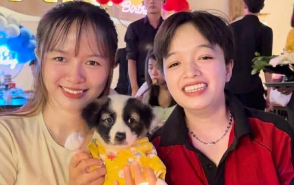 sao-no-an-‘nguoi-ban’-cua-minh?:-gioi-tre-noi-thang-ve-thit-cho,-meo