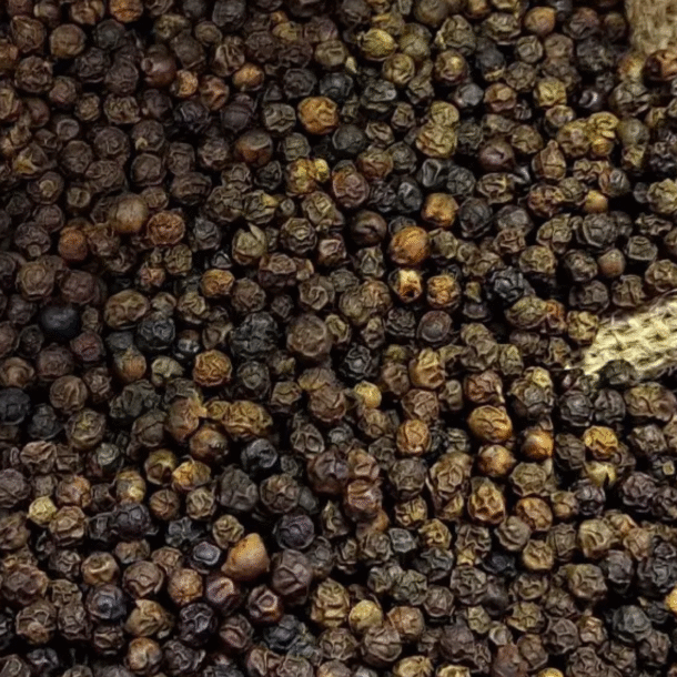 thu-hoach-155.000-tan-‘vang-den’-trong-3-thang-dau-nam,-xuat-khau-thang-dam