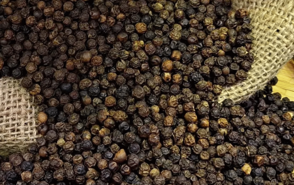 thu-hoach-155.000-tan-‘vang-den’-trong-3-thang-dau-nam,-xuat-khau-thang-dam