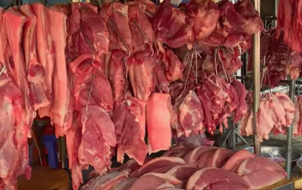 gia-heo-hoi-hom-nay-64.2026:-tang-nhe-vai-noi