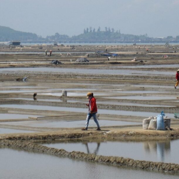 tro-treu-o-sa-huynh:-gia-muoi-tang-nhung-diem-dan-lai…-khong-con-muoi