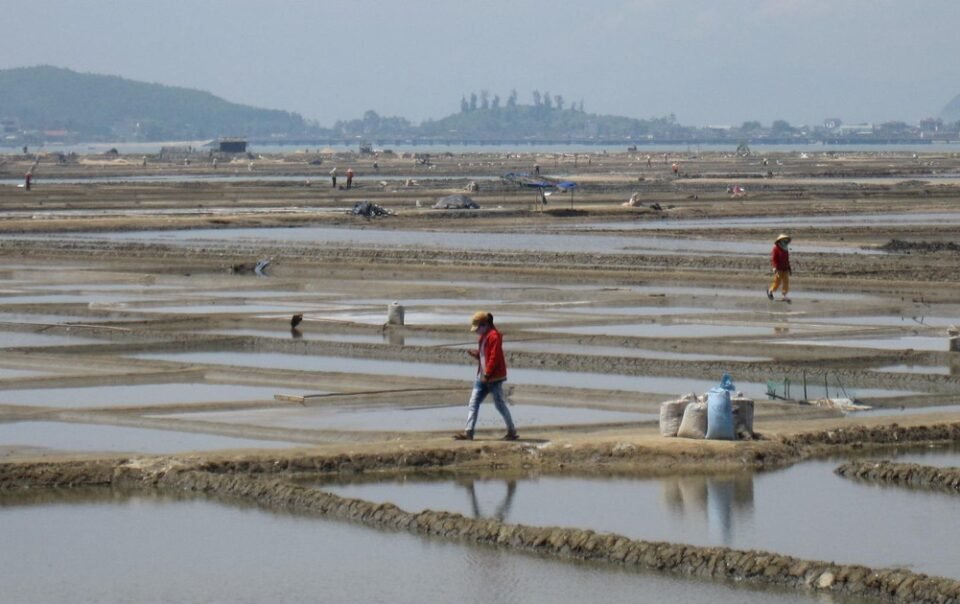 tro-treu-o-sa-huynh:-gia-muoi-tang-nhung-diem-dan-lai…-khong-con-muoi