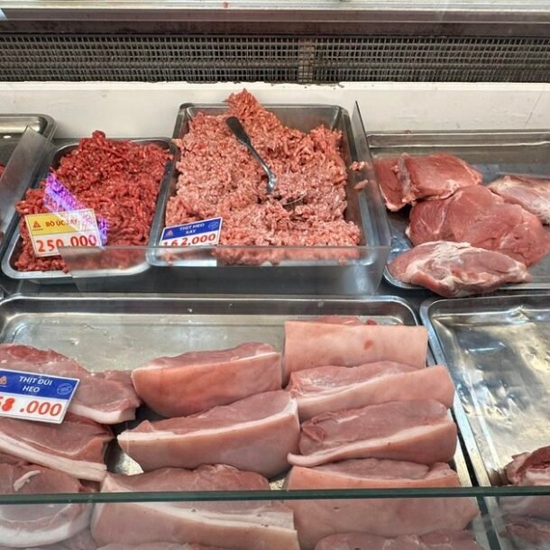 gia-heo-hoi-hom-nay-74.2026:-‘thu-phu-chan-nuoi’-tang-gia