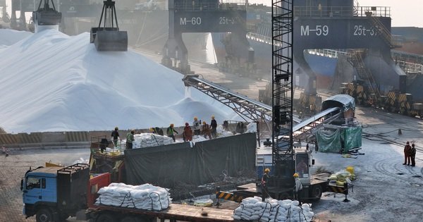 v&igrave;-sao-chien-su-trung-d&ocirc;ng-day-gi&aacute;-ph&acirc;n-b&oacute;n-tang-?