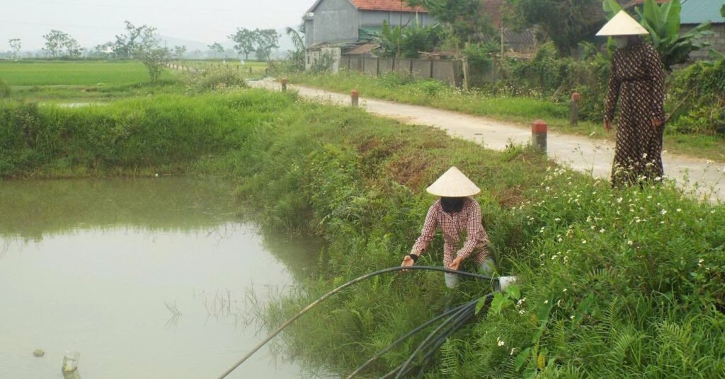 nguoi-dan-dung-nuoc-ao-ho-de-sinh-hoat-giua-nang-nong-gay-gat