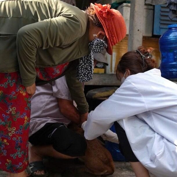 bi-cho-can-tu-nhieu-thang-truoc,-nguoi-dan-ong-tu-vong-nghi-do-benh-dai