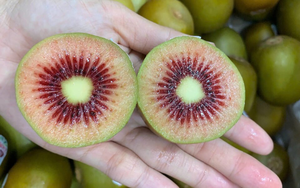 kiwi-ruot-do-new-zealand-350.000-dong-mot-kg-van-hut-khach