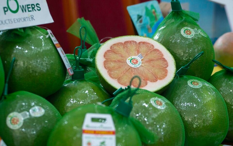 nhung-loai-trai-cay-ngon-va-tot-cho-nguoi-muon-giam-can