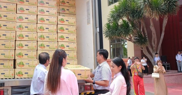 thi-truong-&uacute;c-d&oacute;n-nhan-buoi-viet-nam