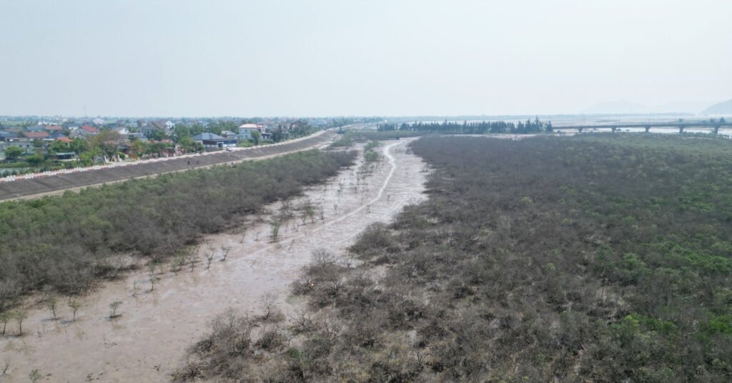 canh-tuong-bat-thuong-ven-bien-ha-tinh,-chua-tim-ra-nguyen-nhan