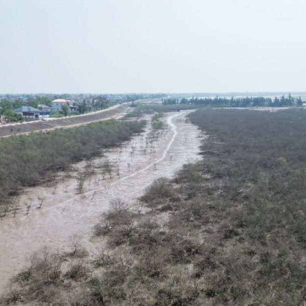 canh-tuong-bat-thuong-ven-bien-ha-tinh,-chua-tim-ra-nguyen-nhan