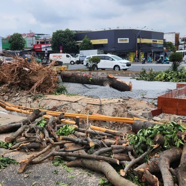 bat-dau-don-ha,-di-doi-cay-xanh-de-lam-metro-so-2