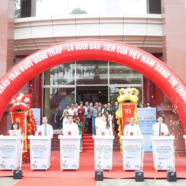 dong-thap-xuat-khau-lo-buoi-dau-tien-sang-uc