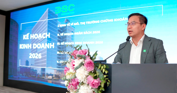 tong-giam-doc-dsc:-nhung-nhip-dieu-chinh-cua-vn-index-neu-xay-ra-co-the-se-rat-“sau-va-dau”