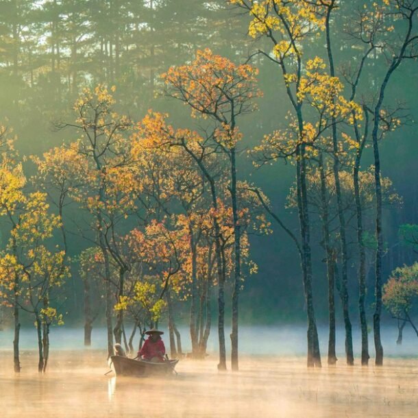 viet-nam-vao-top-5-diem-den-tot-nhat-cho-nu-du-khach-doc-hanh