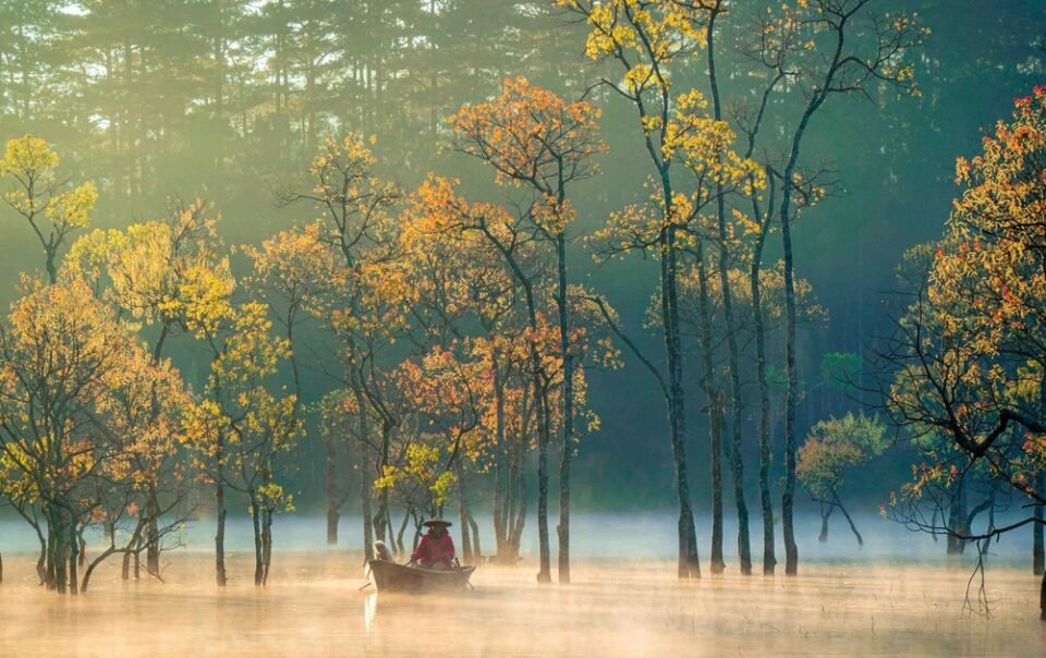 viet-nam-vao-top-5-diem-den-tot-nhat-cho-nu-du-khach-doc-hanh