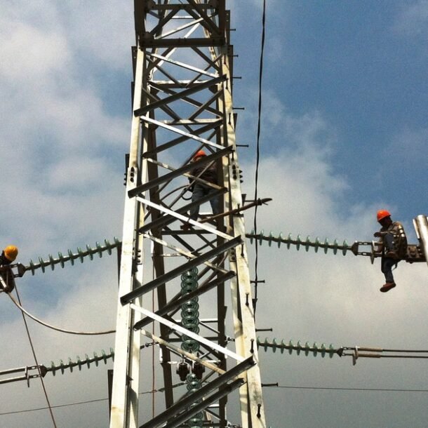 50-nam,-evnhcmc-phat-trien-vuon-tam-cung-dat-nuoc