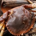 nang-nong-lam-hon-1.000ha-thuy-san-thiet-hai,-ca-mau-xin-50-tan-chlorine-khac-phuc