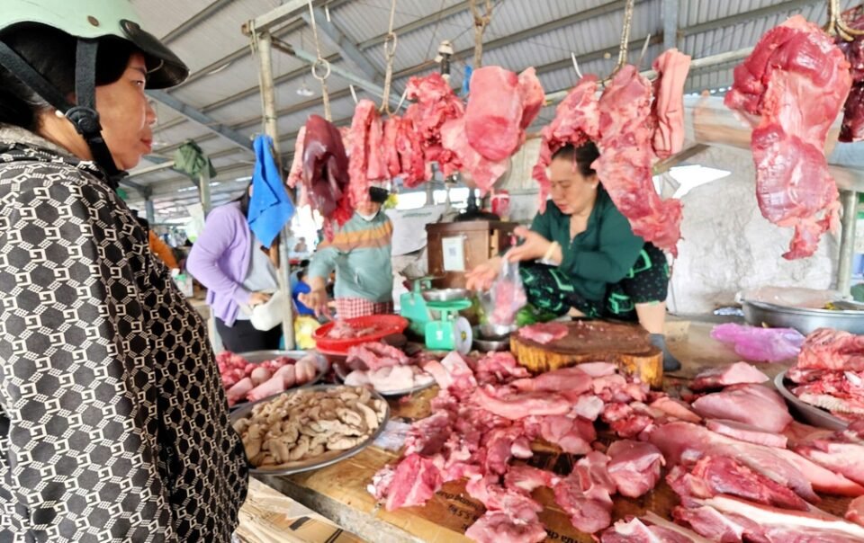 gia-heo-hoi-hom-nay-174.2026:-dong-loat-chung-lai