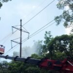 lap-lanh-anh-sang-co-tich-nhiem-mau-cua-tuoi-tho-toi