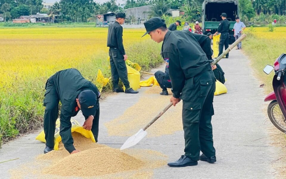 di-lam-nhiem-vu-ve,-thay-nguoi-khuyet-tat-kho-nhoc-gom-lua,-canh-sat-co-dong-dung-lai-giup