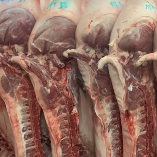 gia-heo-hoi-hom-nay-2042026:-cao-hon-trung-quoc-30.000-dong/kg