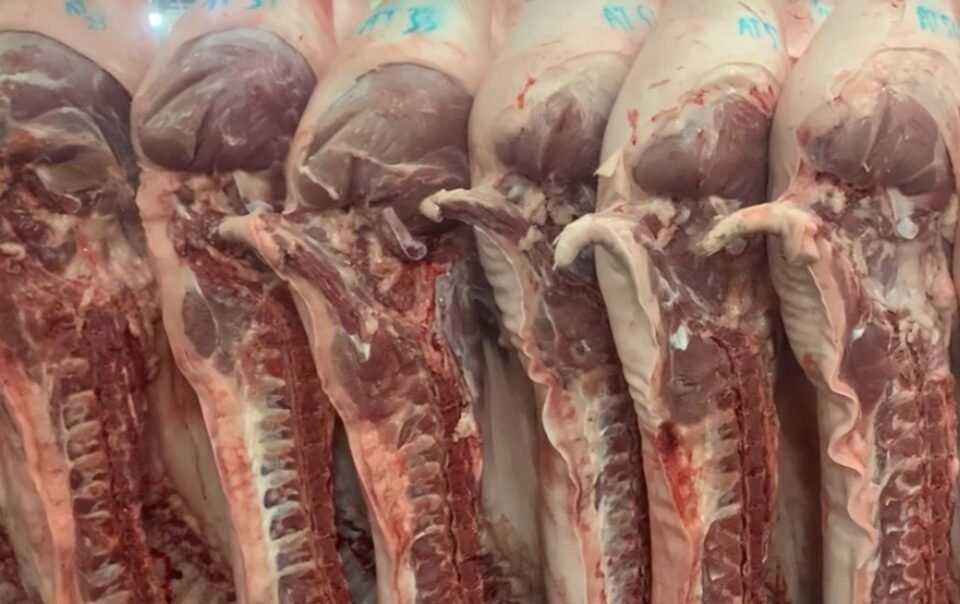 gia-heo-hoi-hom-nay-2042026:-cao-hon-trung-quoc-30.000-dong/kg